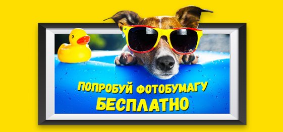 Попробуй фотобумагу Lucky Print бесплатно! 